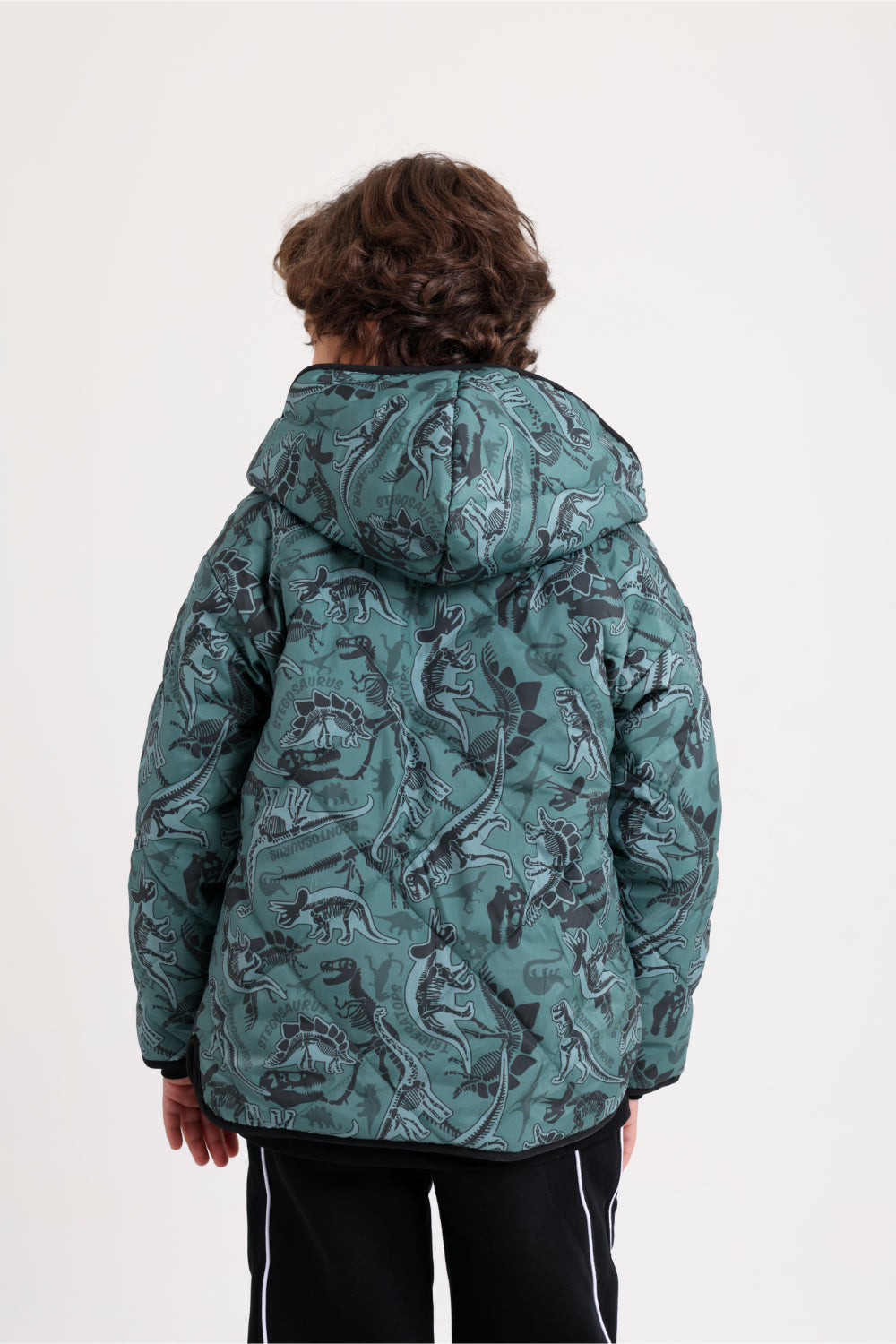 boys waterproof double face jacket - dark green with dino print