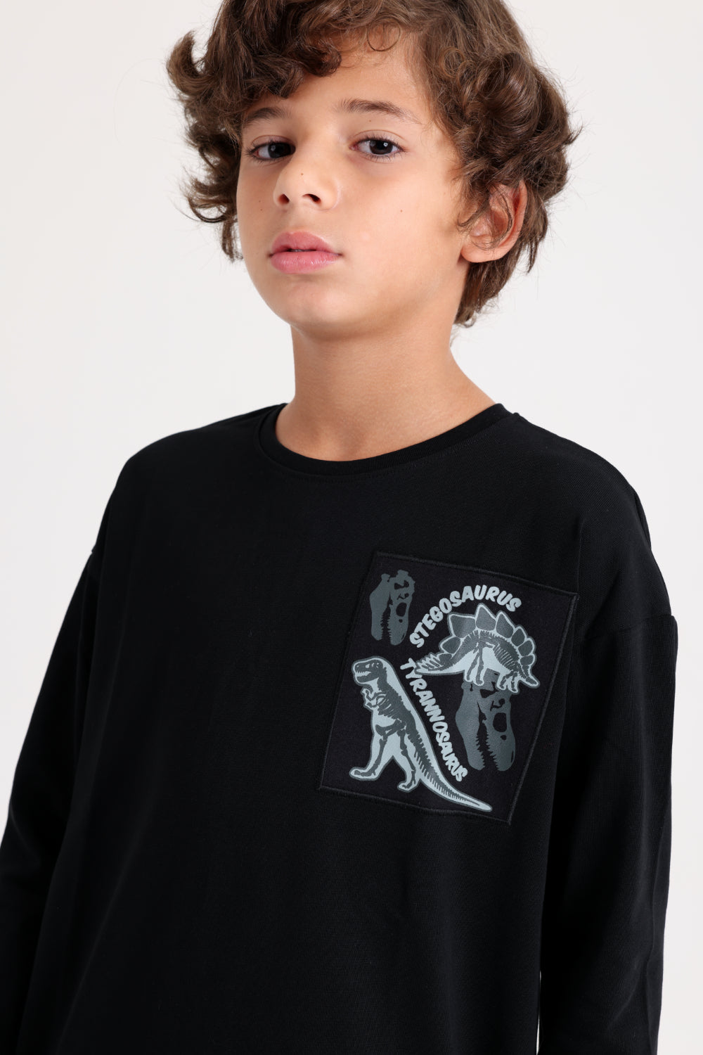 boys cotton t-shirt black with stegosaurus print