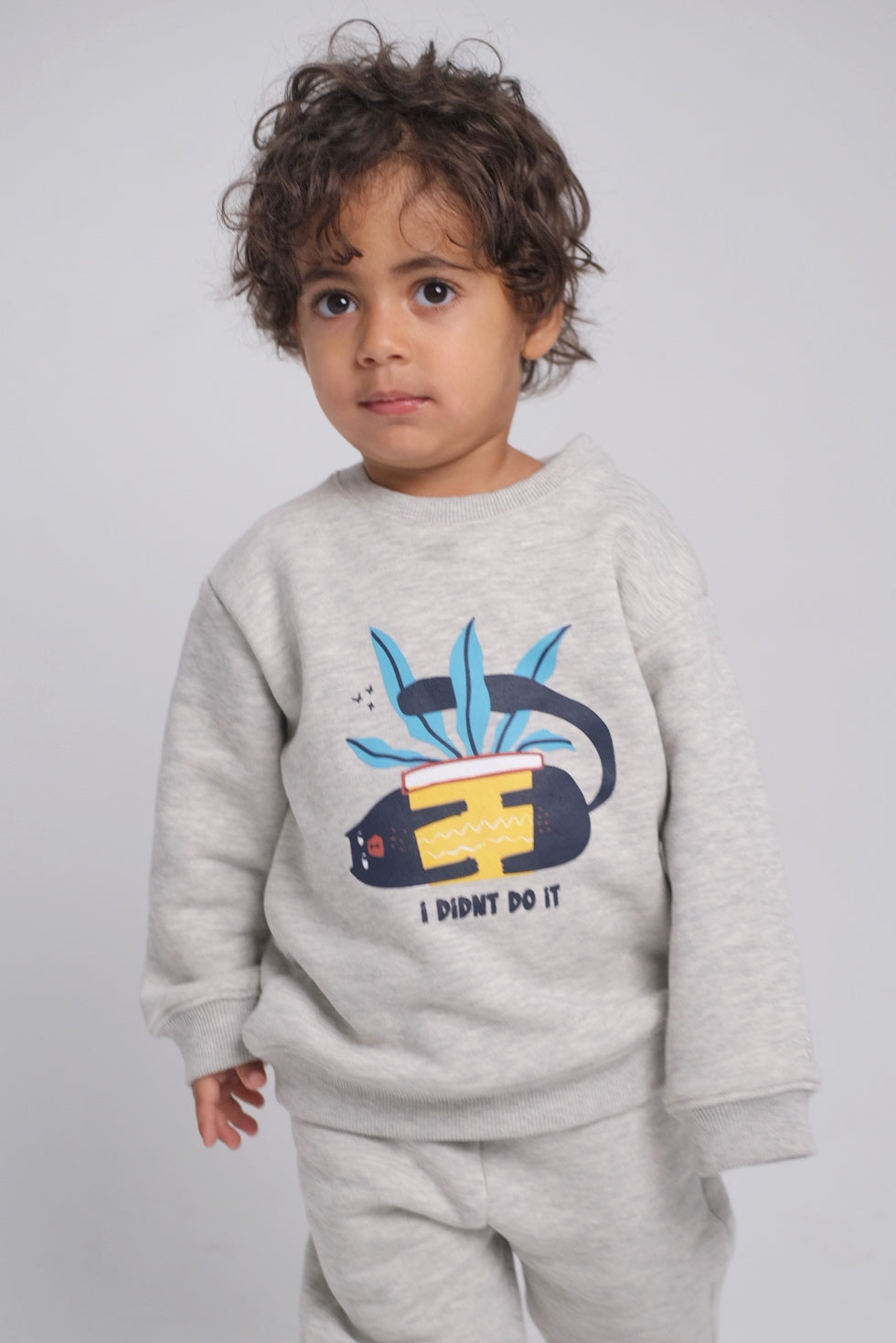 unisex "i didn't do it" printed long sleeved sweatshirt