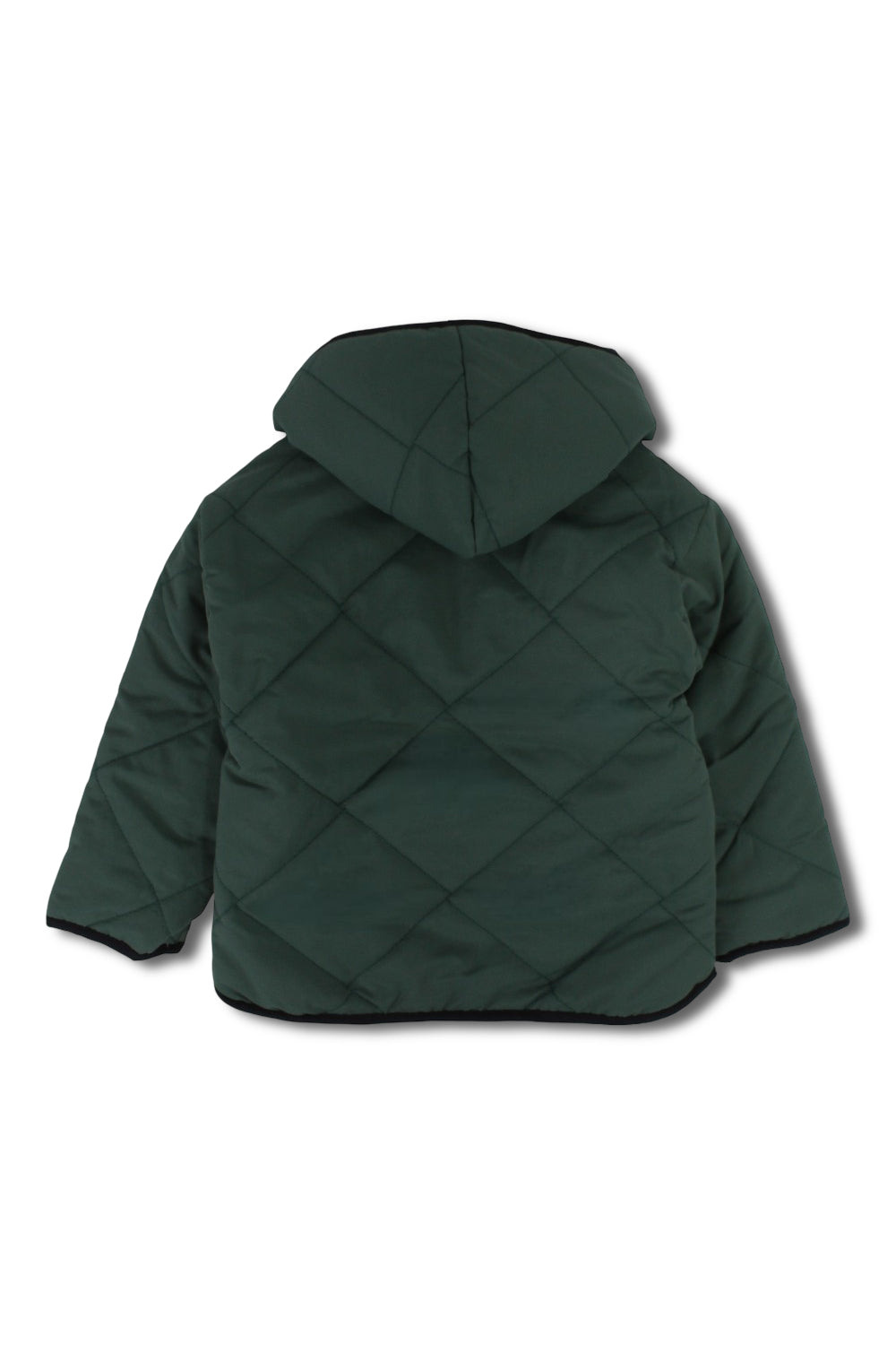 boys waterproof double face jacket - dark green with dino print