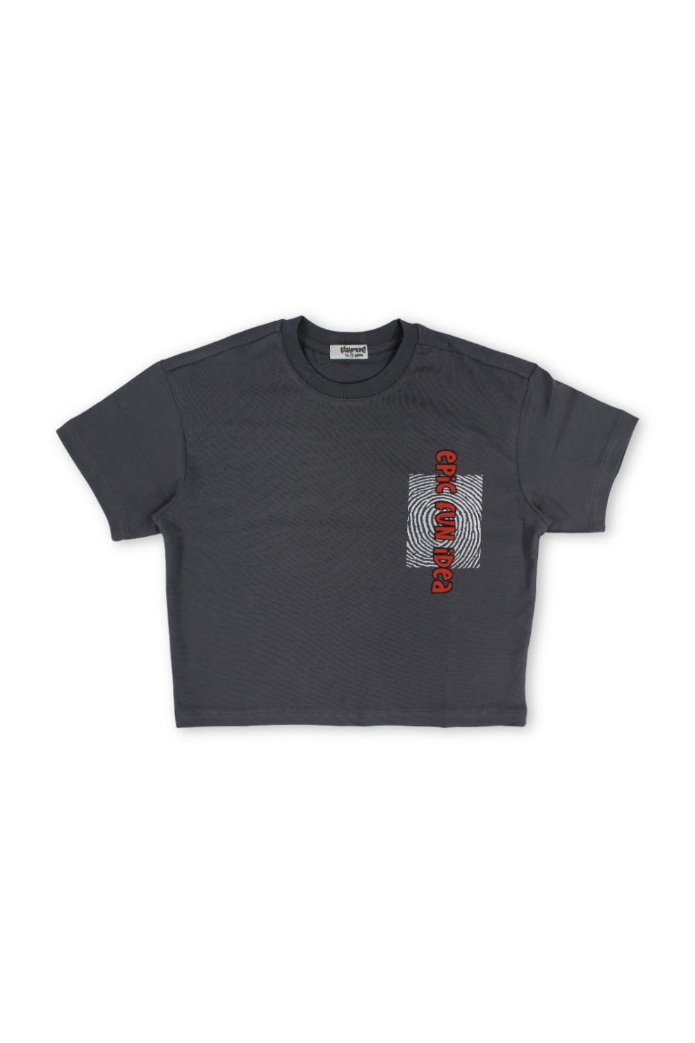 boys cotton t-shirt – grey with "epic Fun idea" print
