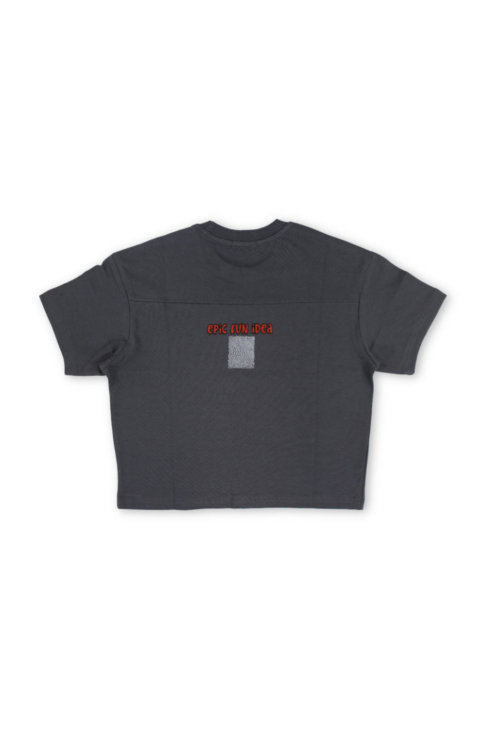 boys cotton t-shirt – grey with "epic Fun idea" print