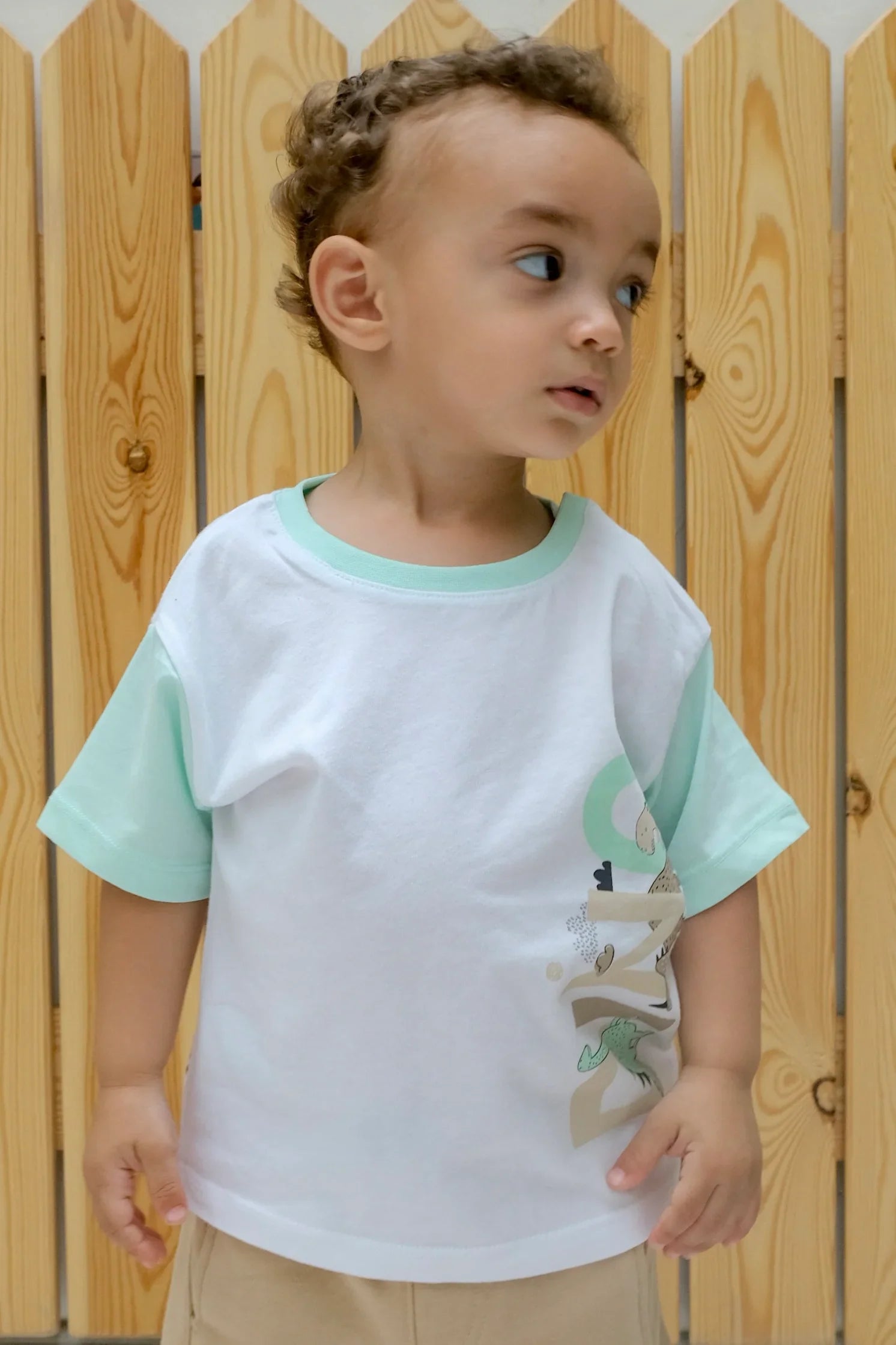 short-sleeved dino tee - playmore